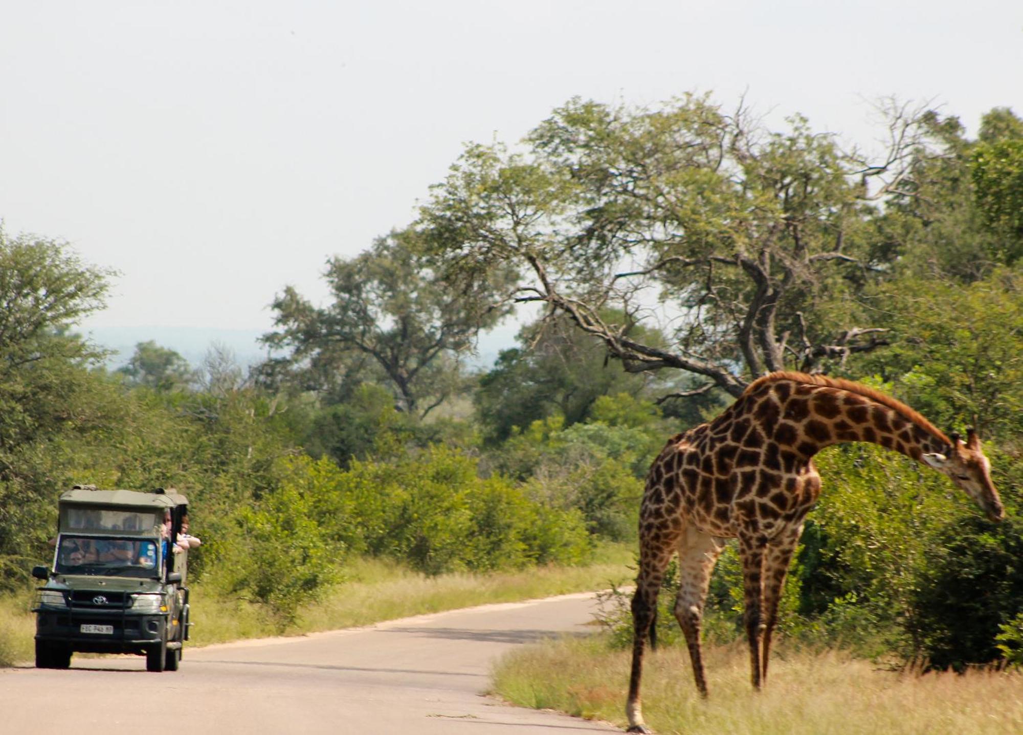 Aha Skukuza Safari Lodge Esterno foto