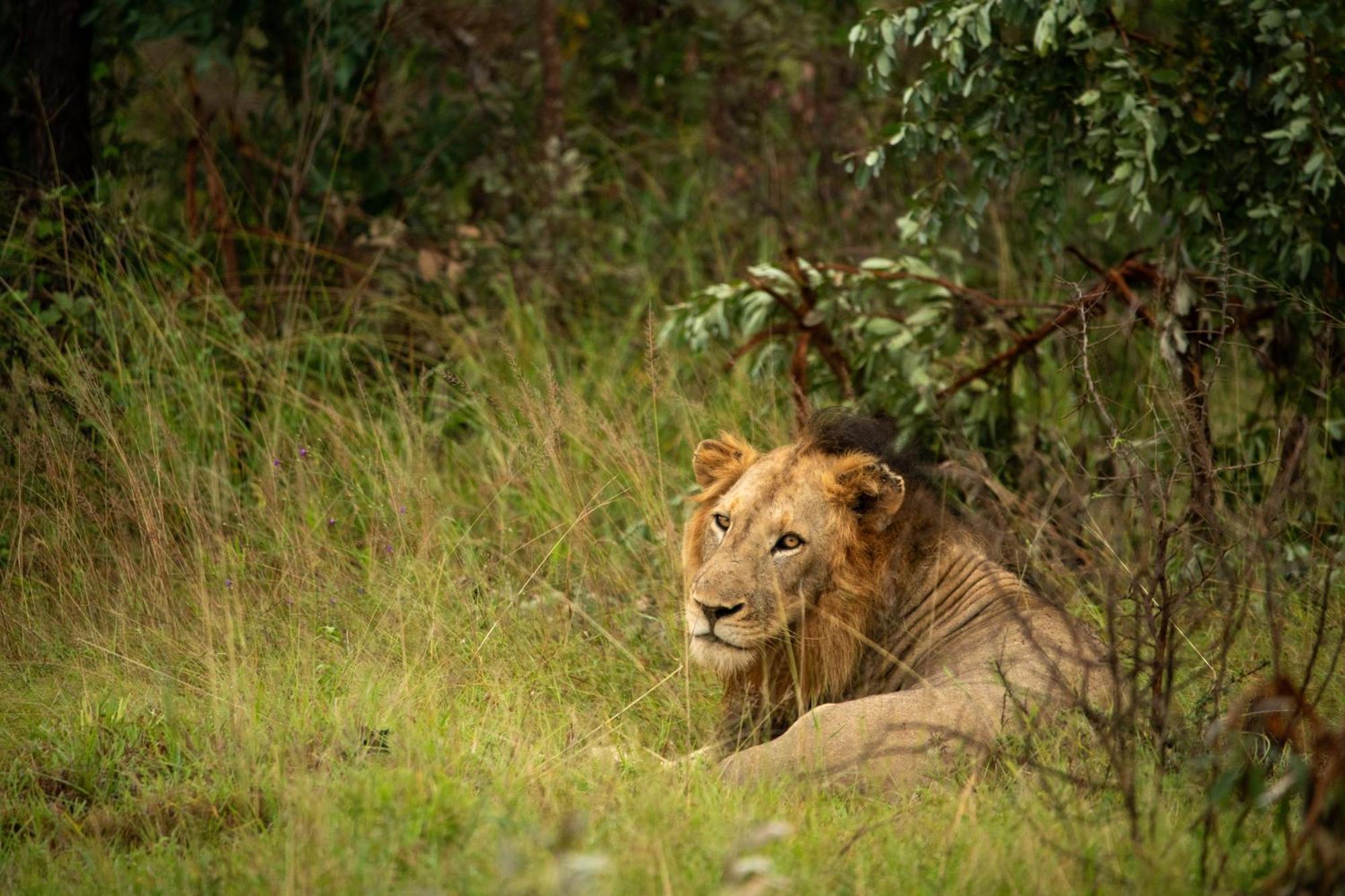 Aha Skukuza Safari Lodge Esterno foto
